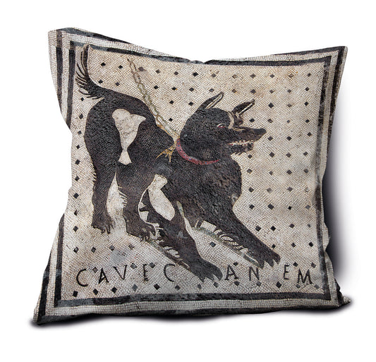 Cuscino con particolare mosaico Cave canem