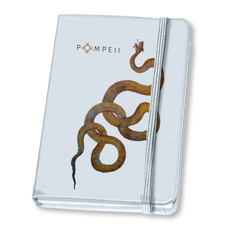 Notebook con riproduzione serpente agathodemone